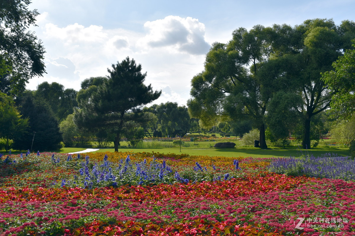 夏日的太阳岛公园
