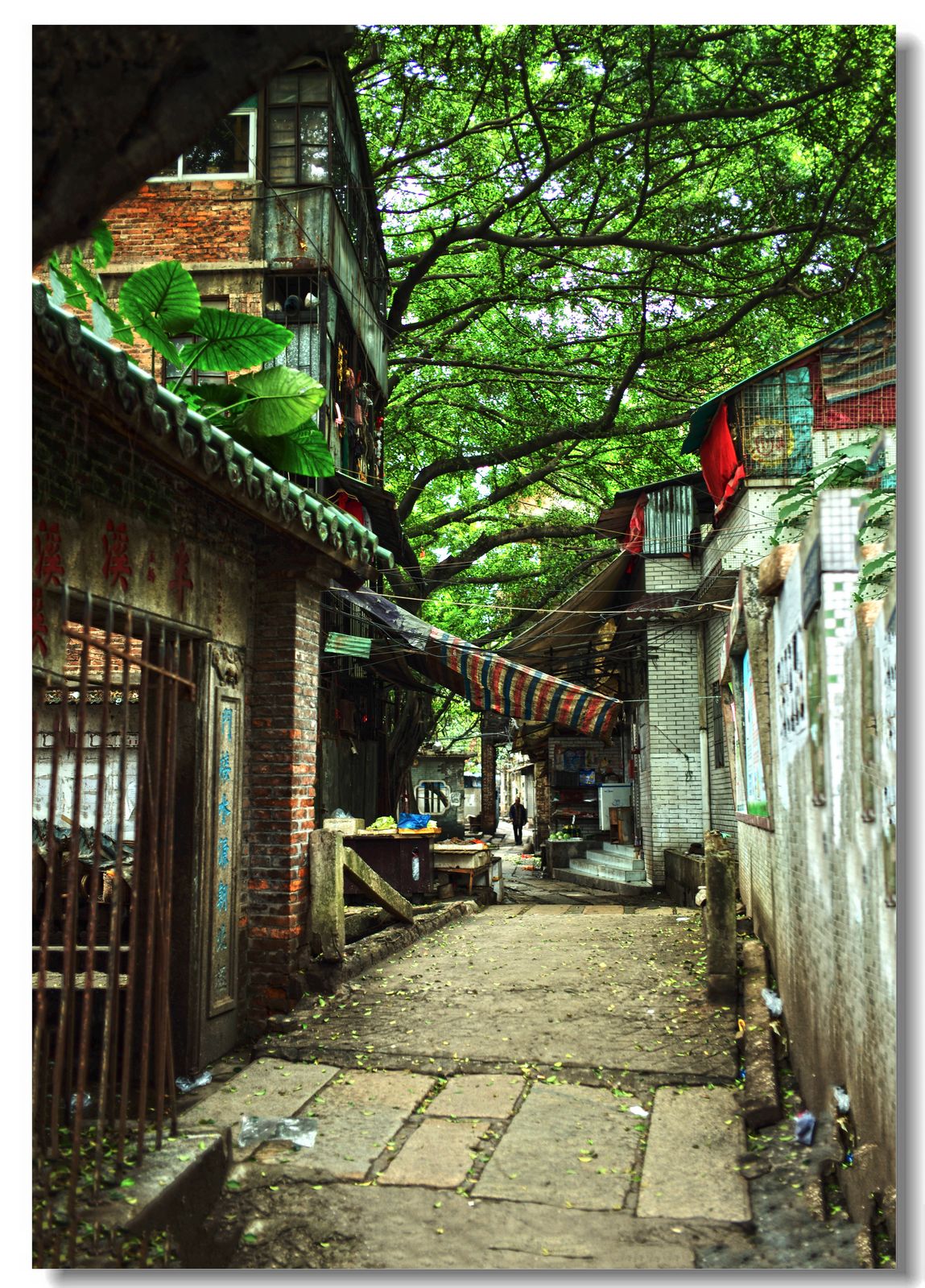 即将消失的城中村泮塘五约