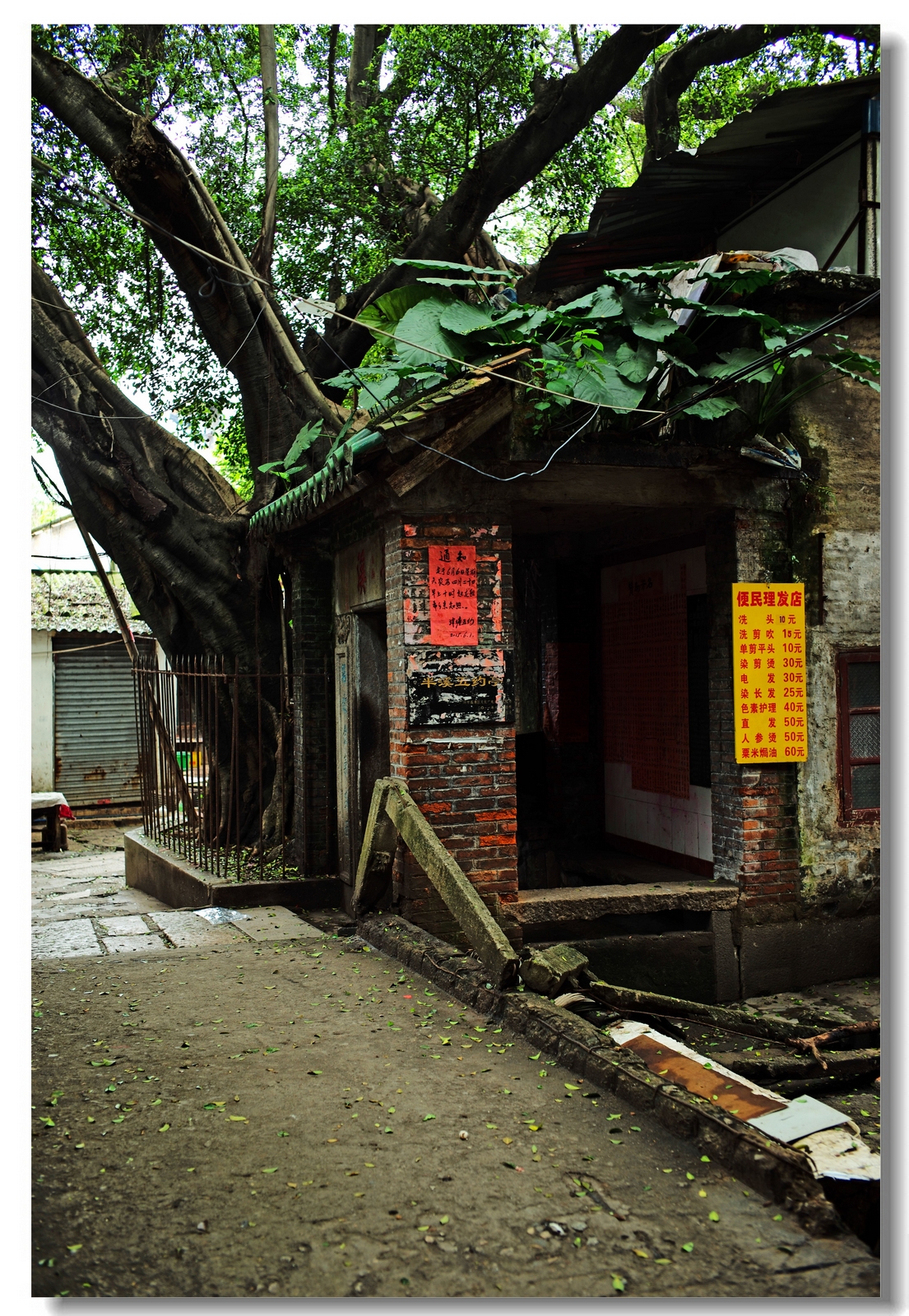 即将消失的城中村泮塘五约