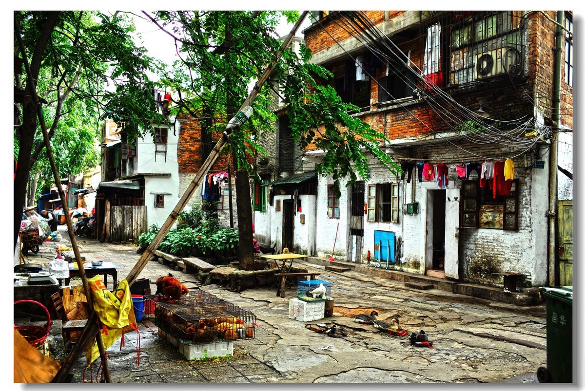 泮塘村图片