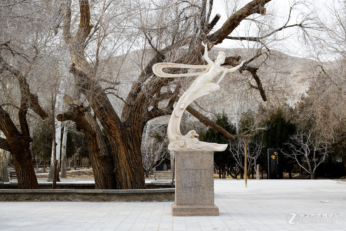 尼康5300 18-140套头