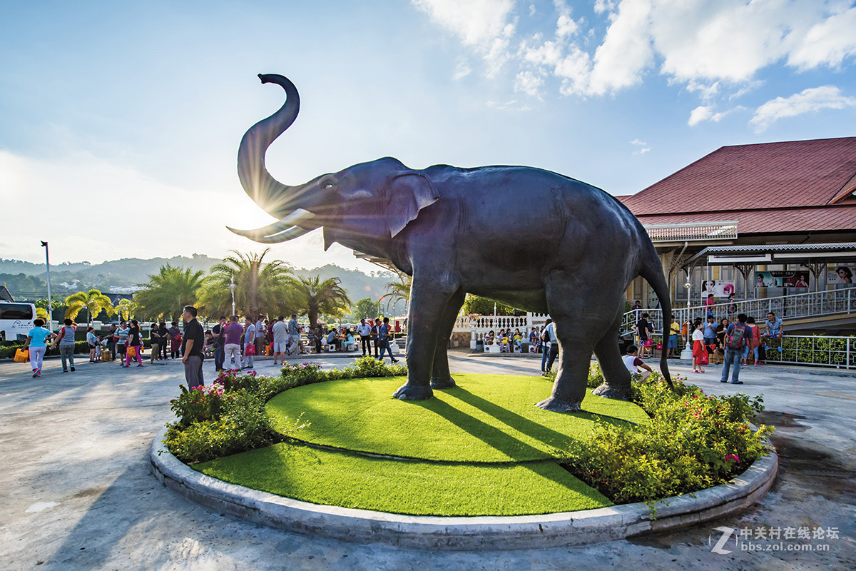 #版主坐堂# 【南京星空(中国)】2016年2月部分优秀作品欣赏