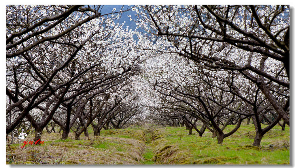#版主坐堂# 【南京星空(中国)】2016年2月部分优秀作品欣赏
