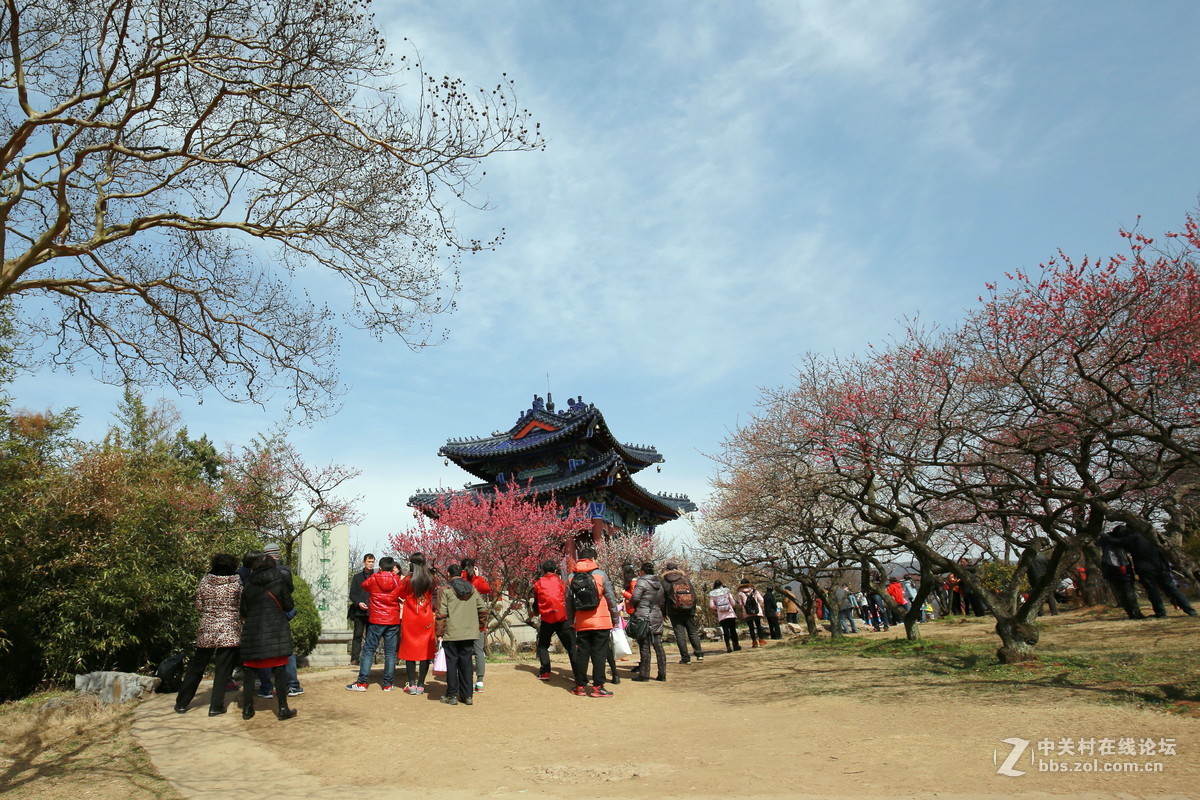 #版主坐堂# 【南京星空(中国)】2016年2月部分优秀作品欣赏