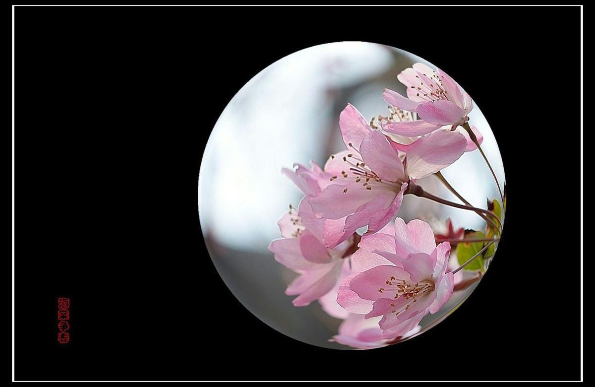 #版主坐堂# 【南京星空(中国)】2016年2月部分优秀作品欣赏