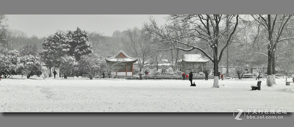 #版主坐堂# 【南京星空(中国)】2016年2月部分优秀作品欣赏