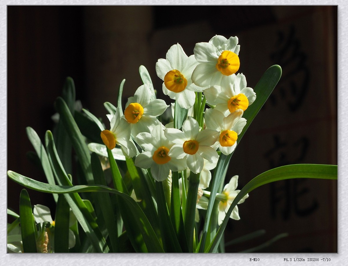 #版主坐堂# 【南京星空(中国)】2016年2月部分优秀作品欣赏