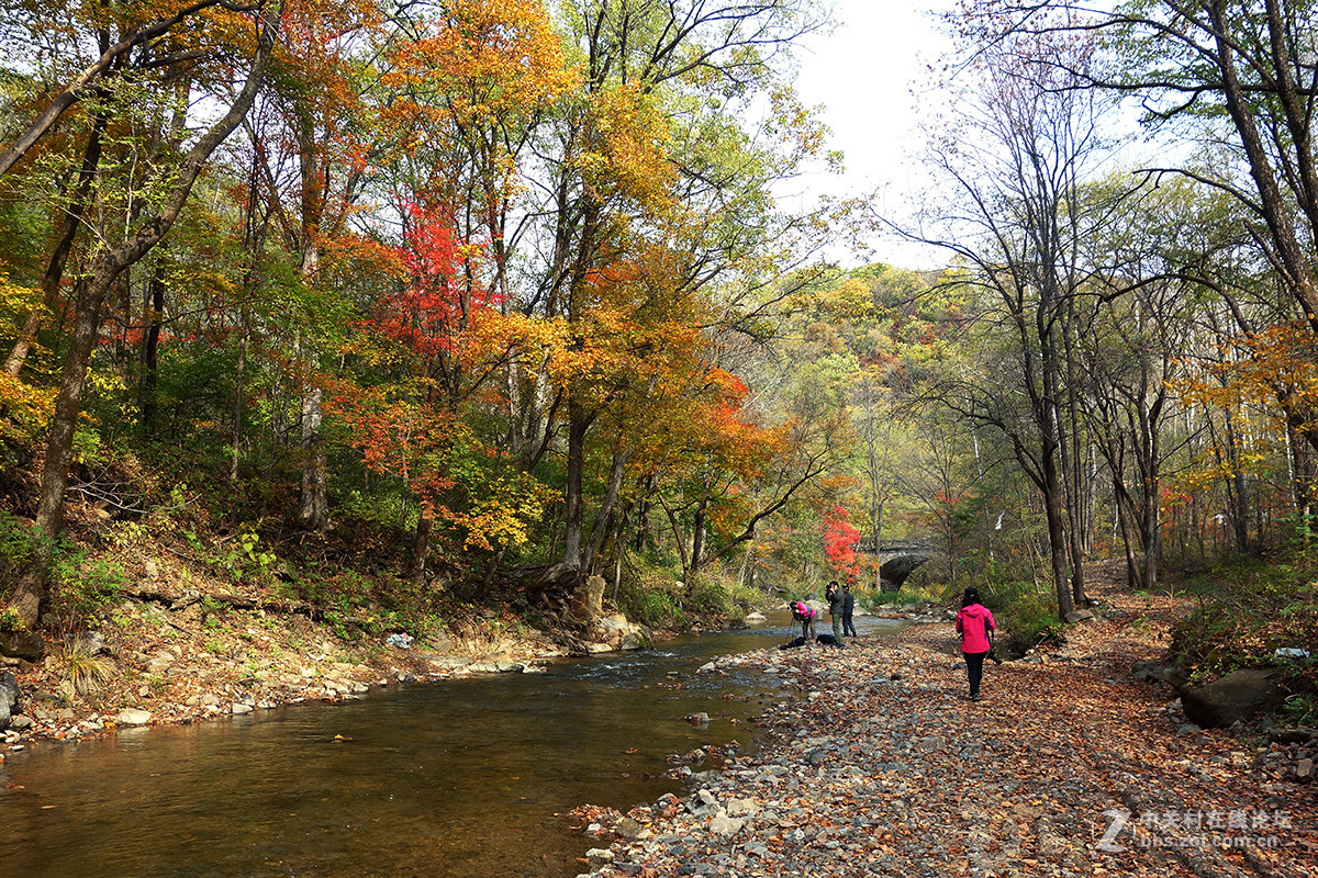 感受东北的秋色 （一）