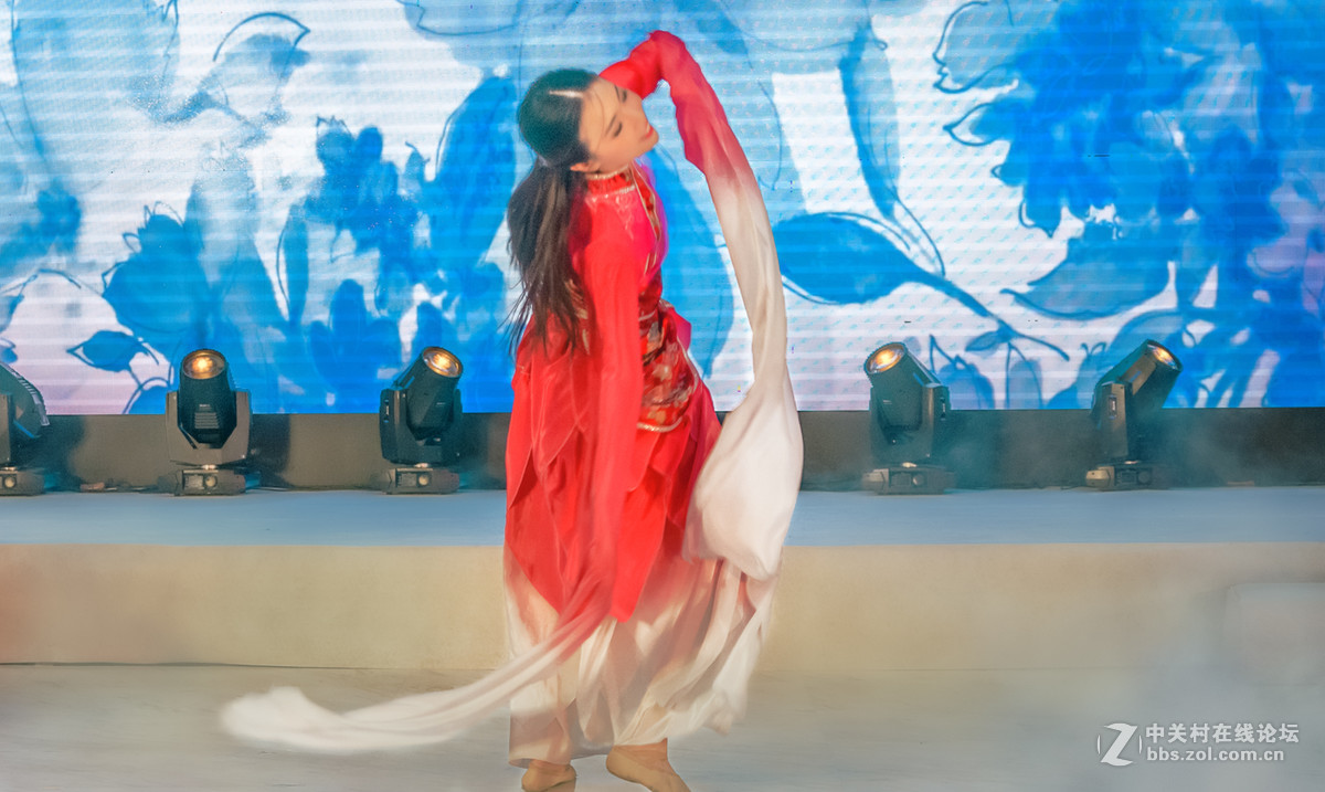 汉韵乐舞《惊鸿》节选
