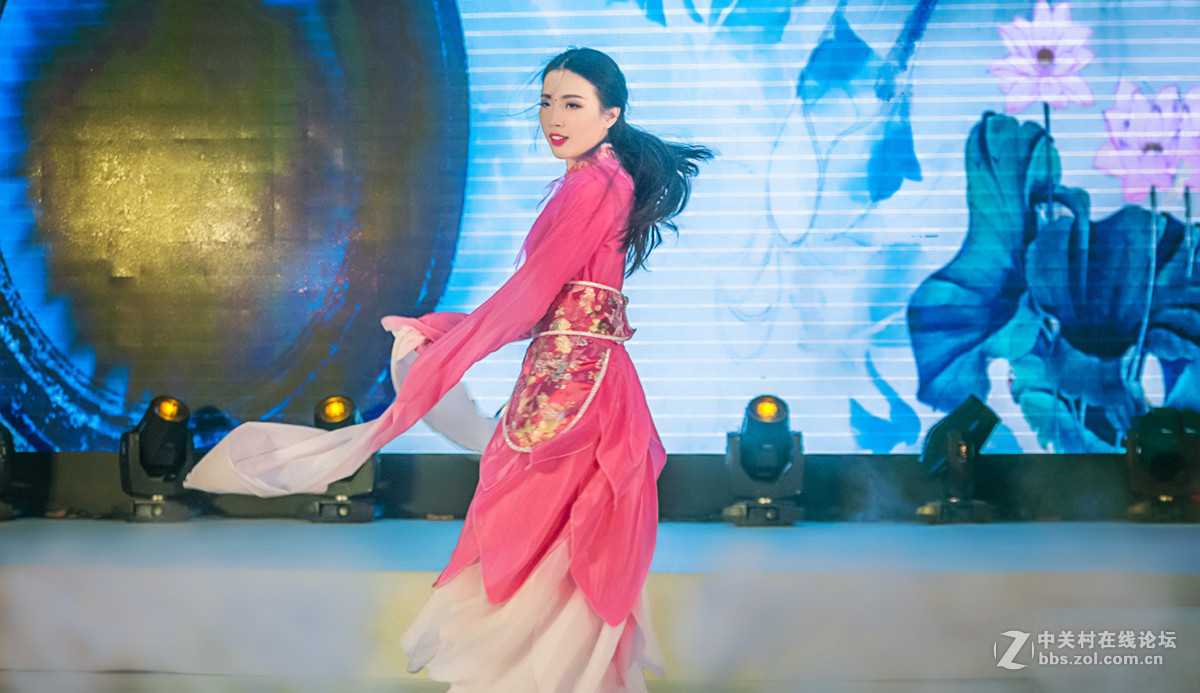 汉韵乐舞《惊鸿》节选