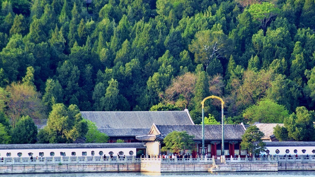 刚刚入手（A17）