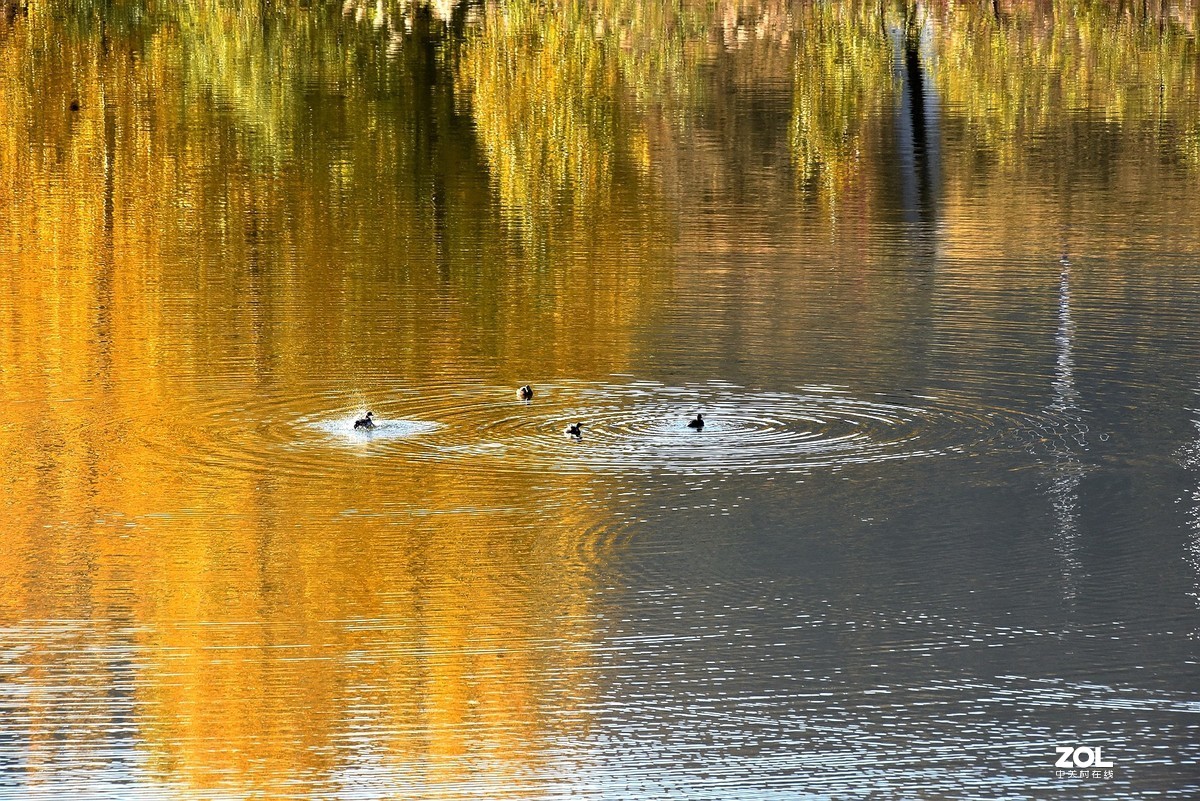 莱芜尚家庄风景