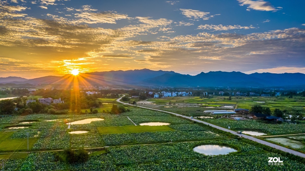 江西吉安：富渼农庄荷花盛开正当时