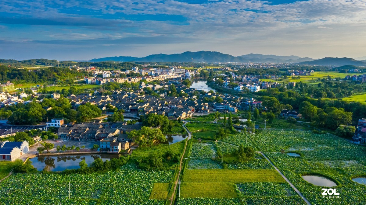 江西吉安：富渼农庄荷花盛开正当时