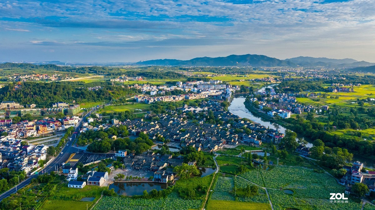 江西吉安：富渼农庄荷花盛开正当时