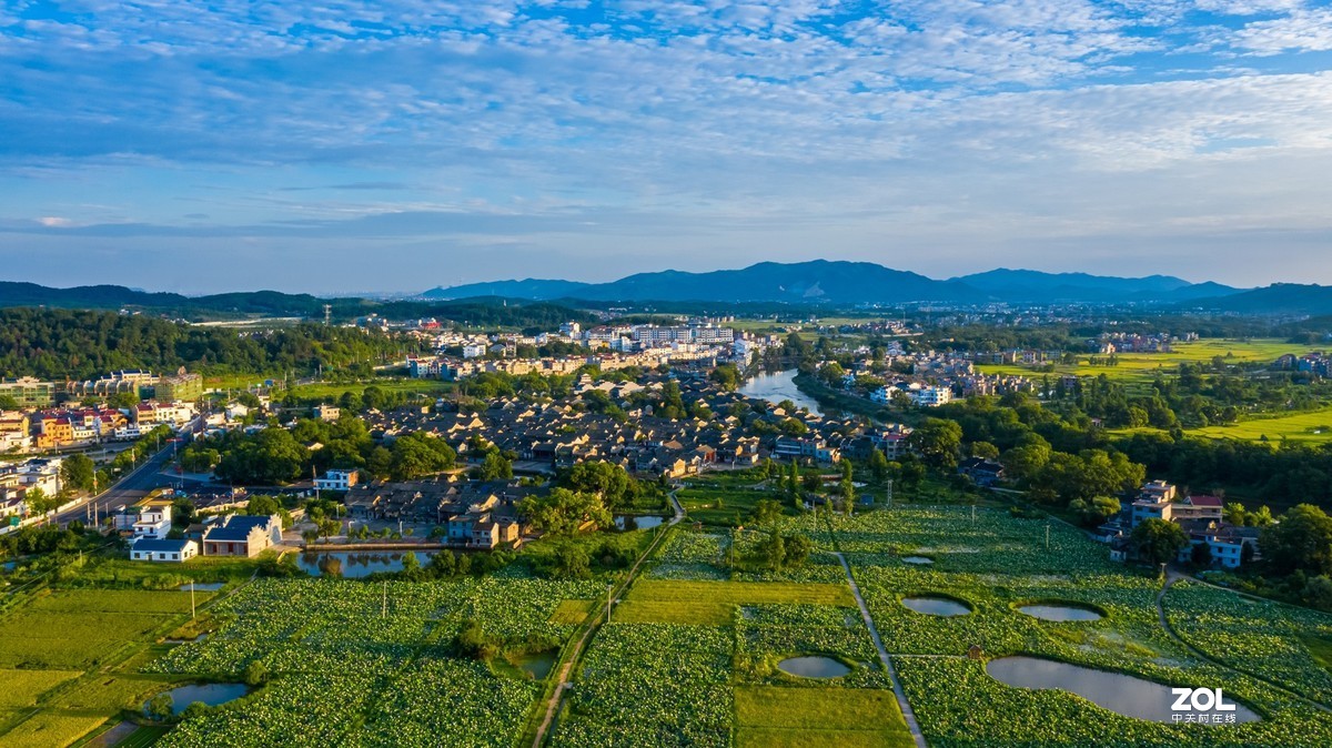 江西吉安：富渼农庄荷花盛开正当时