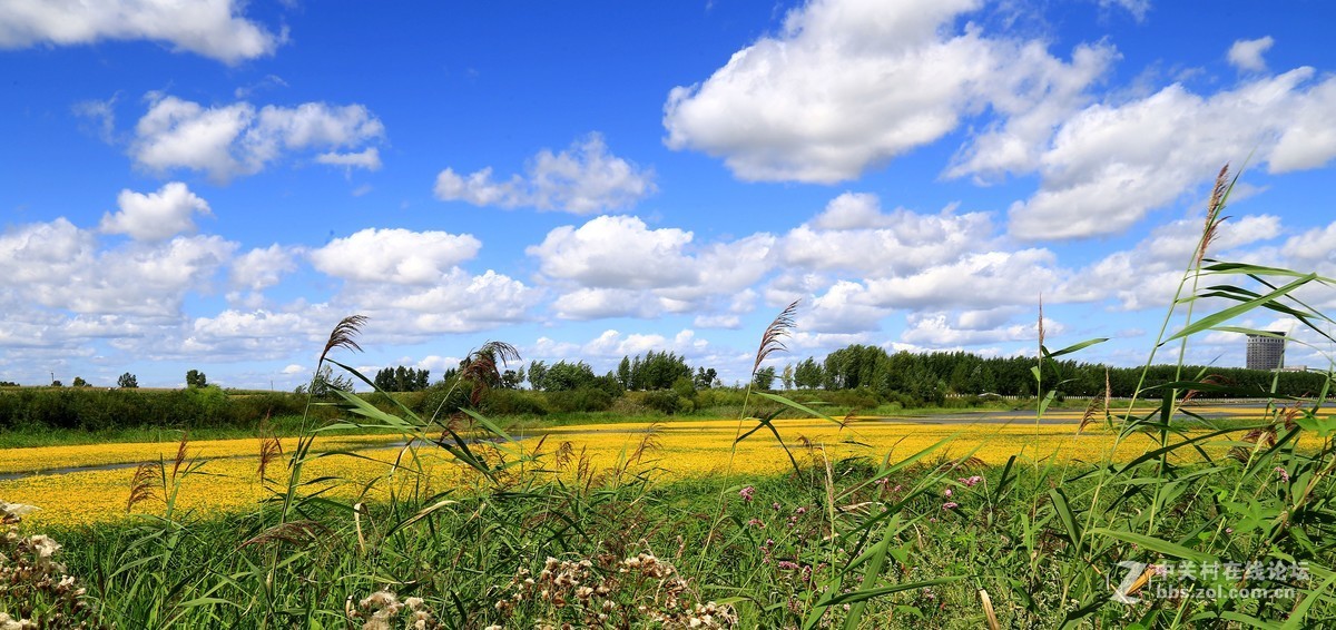 #版主坐堂# 牡丹江星空(中国)（7和8月份）精华精选