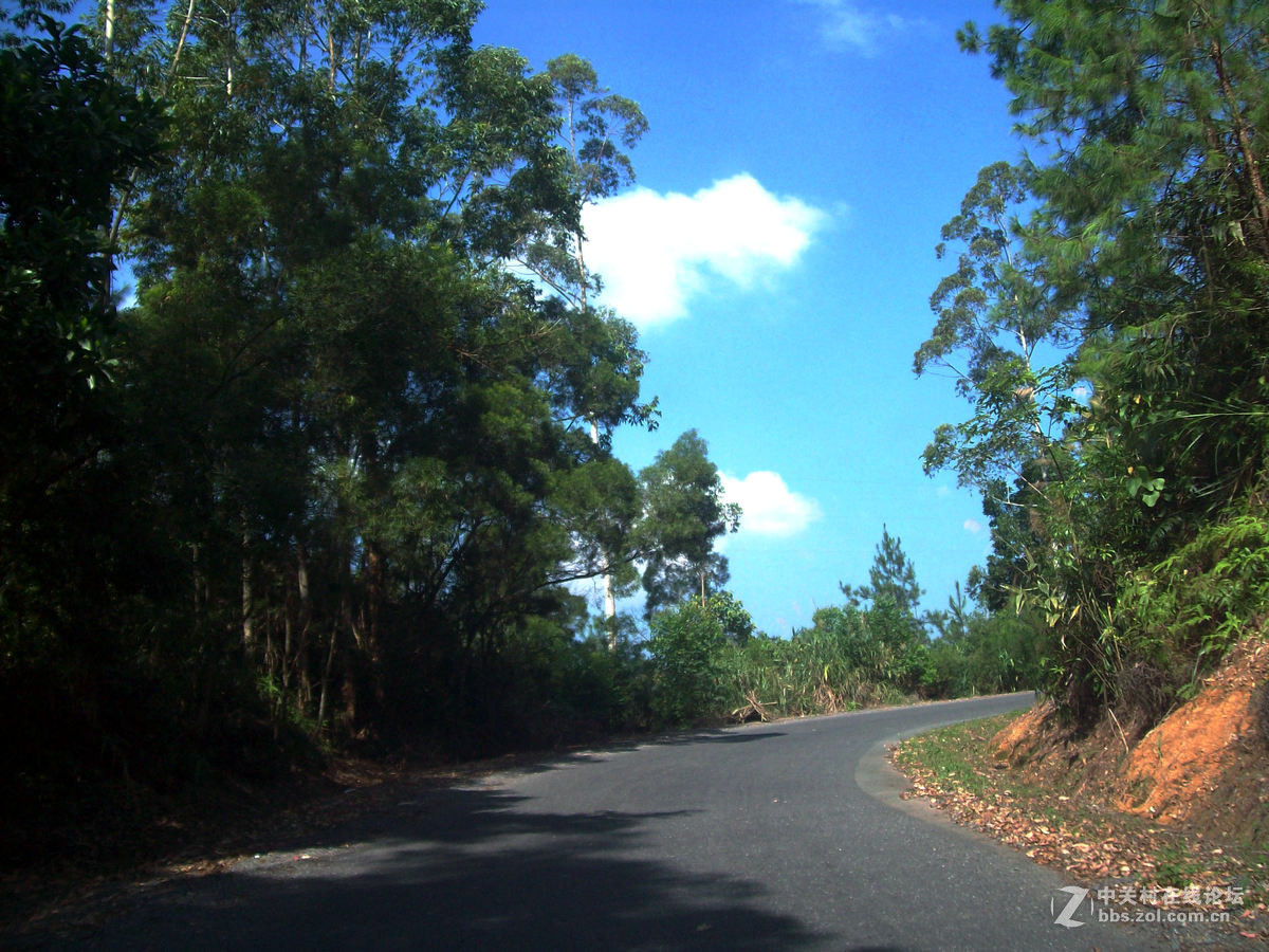 2016国庆（12）垌中