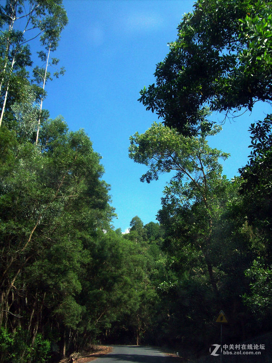 2016国庆（12）垌中