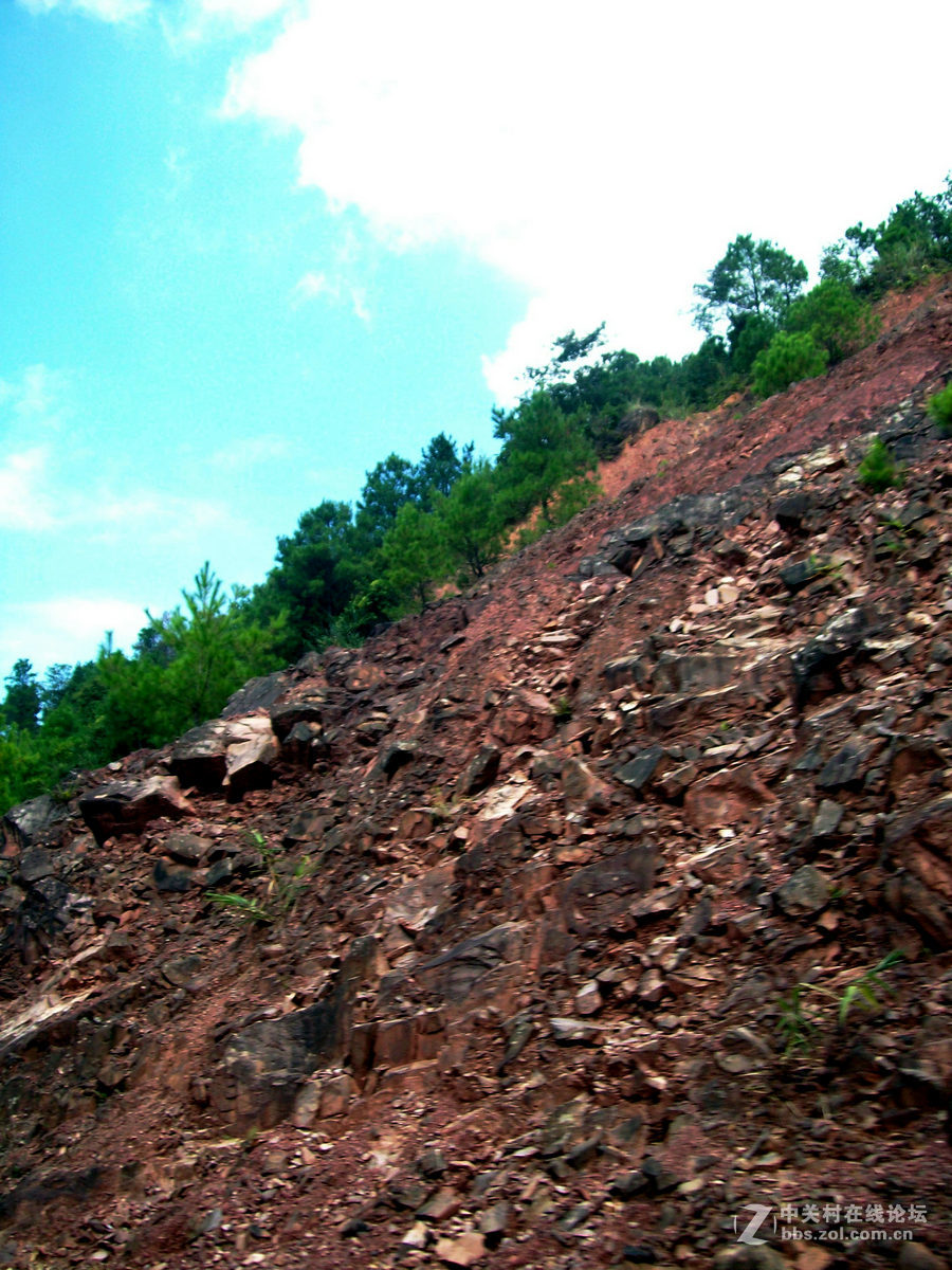 2016国庆（12）垌中