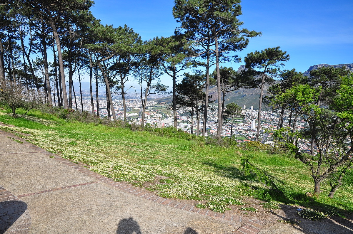 南非之旅（11）信息山
