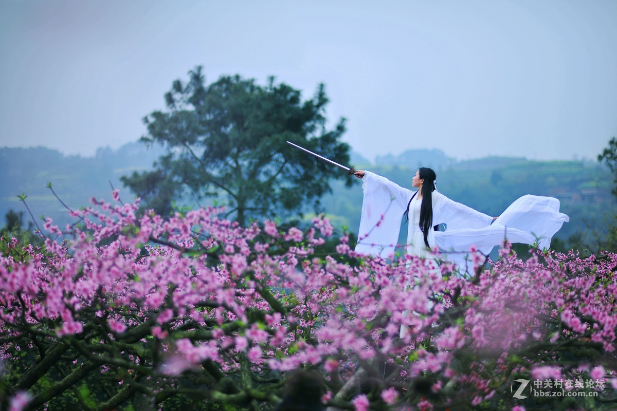 桃花劫