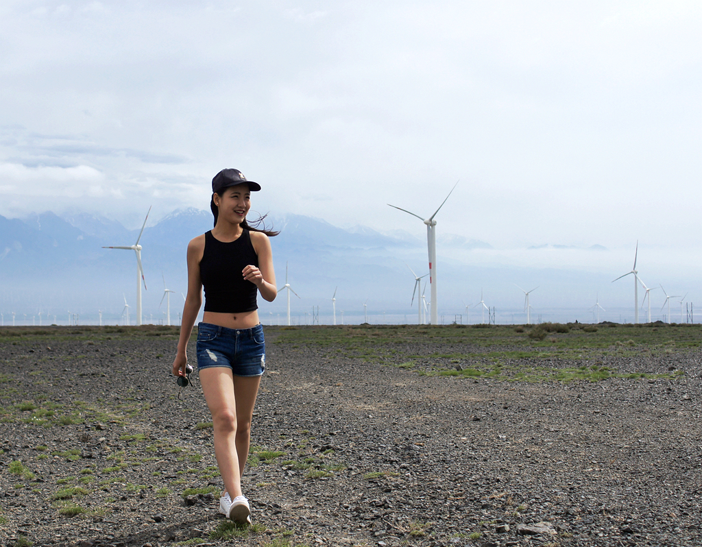 春天的花开秋天的风