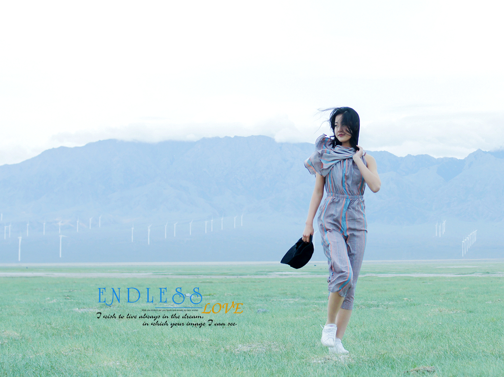 春天的花开秋天的风