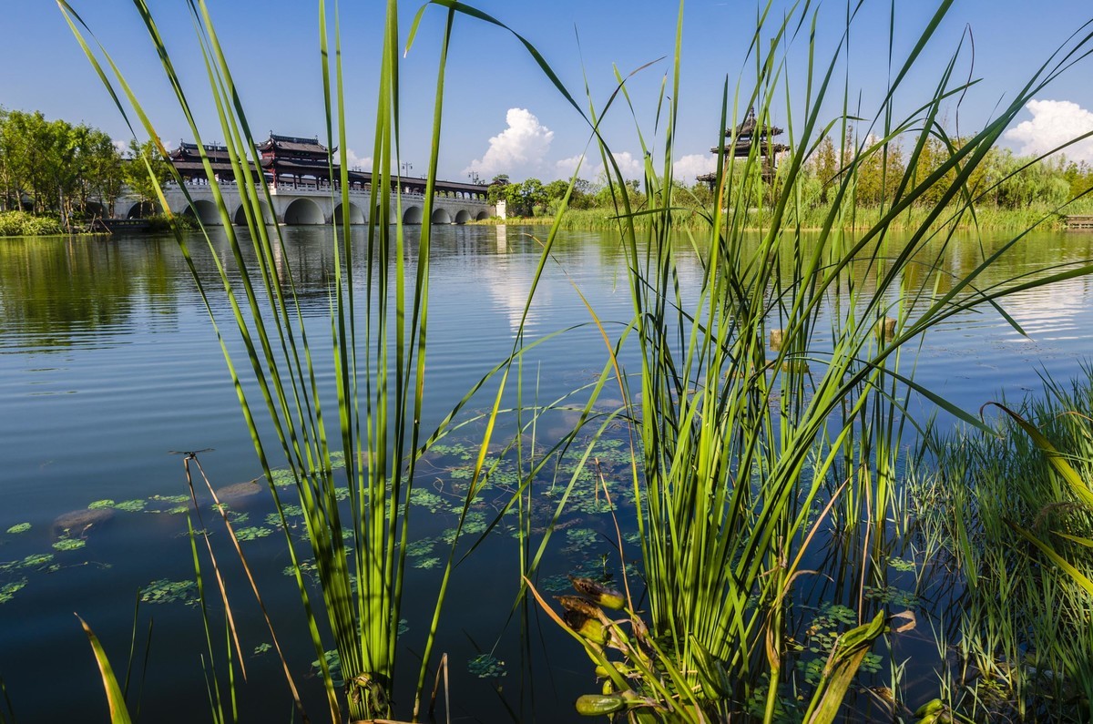 【随拍黎里老街+揽桥荡公园】