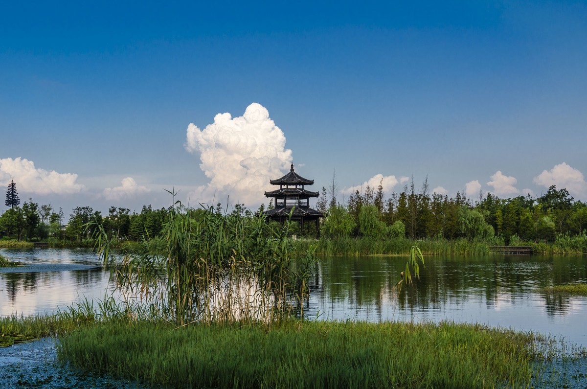 【随拍黎里老街+揽桥荡公园】