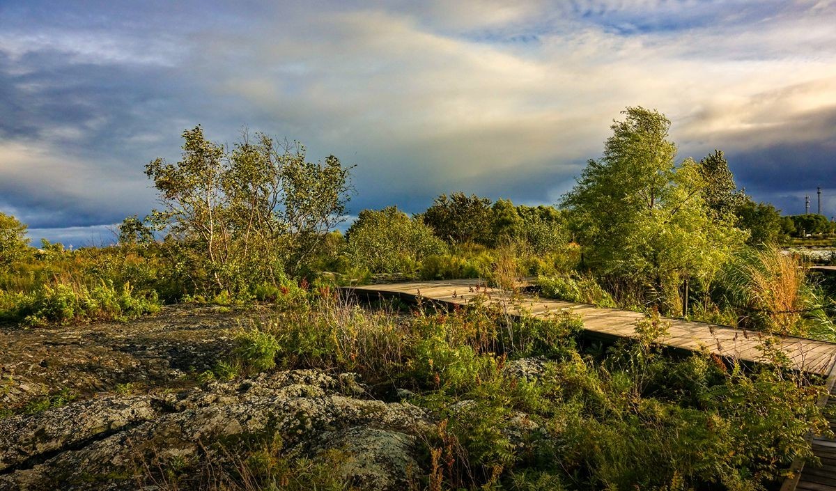 五大连池北饮泉