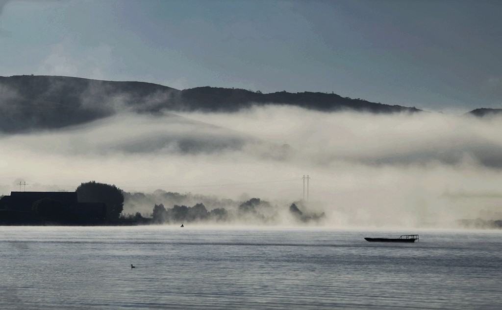游离了很久发几片问候好友