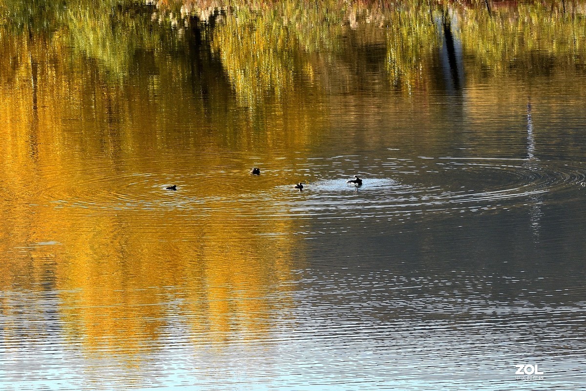 莱芜尚家庄风景