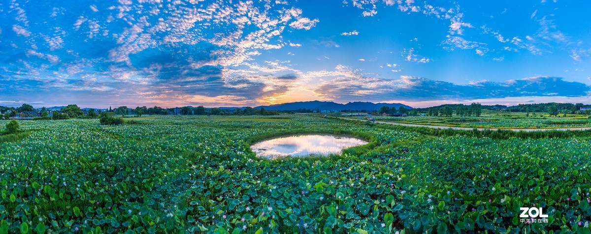 江西吉安：富渼农庄荷花盛开正当时
