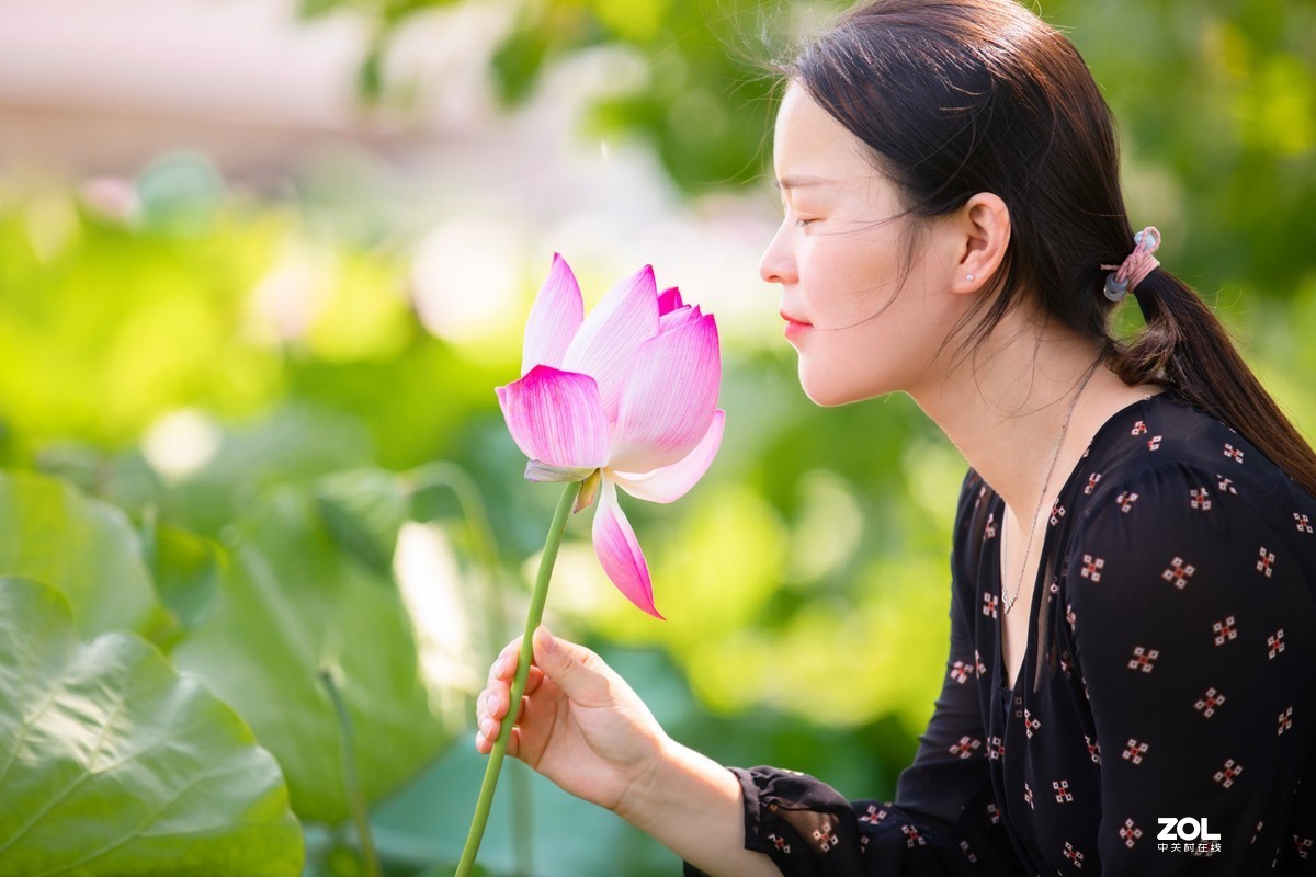 江西吉安：富渼农庄荷花盛开正当时