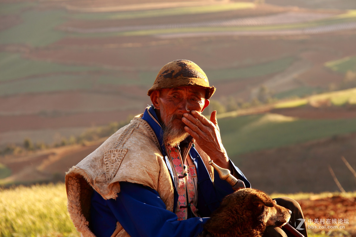 东川红土地明星