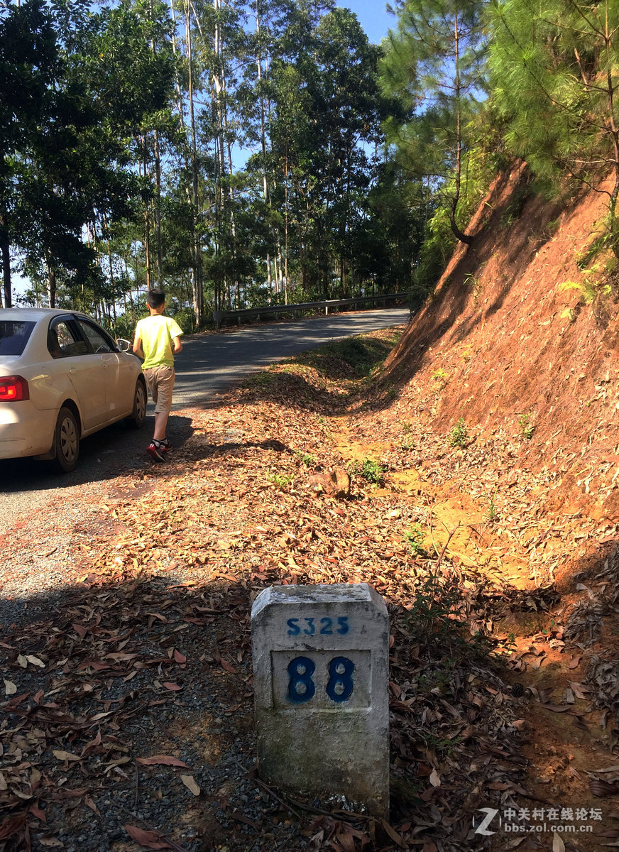 2016国庆（12）垌中