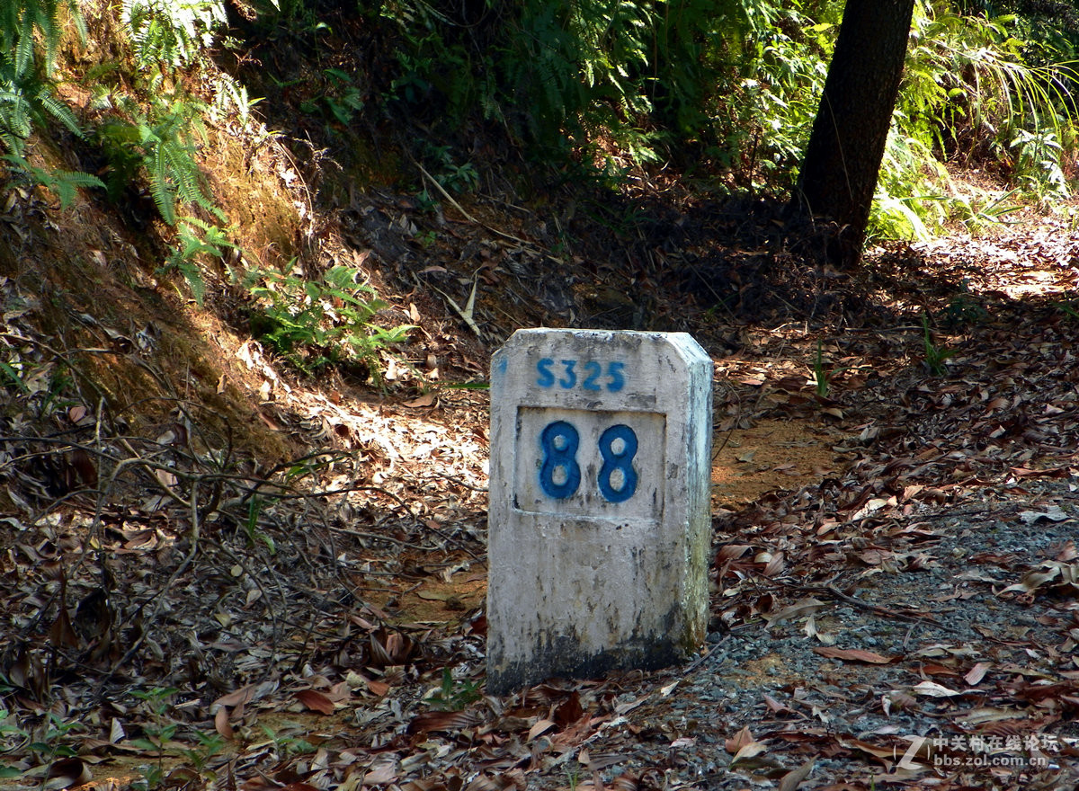 2016国庆（12）垌中