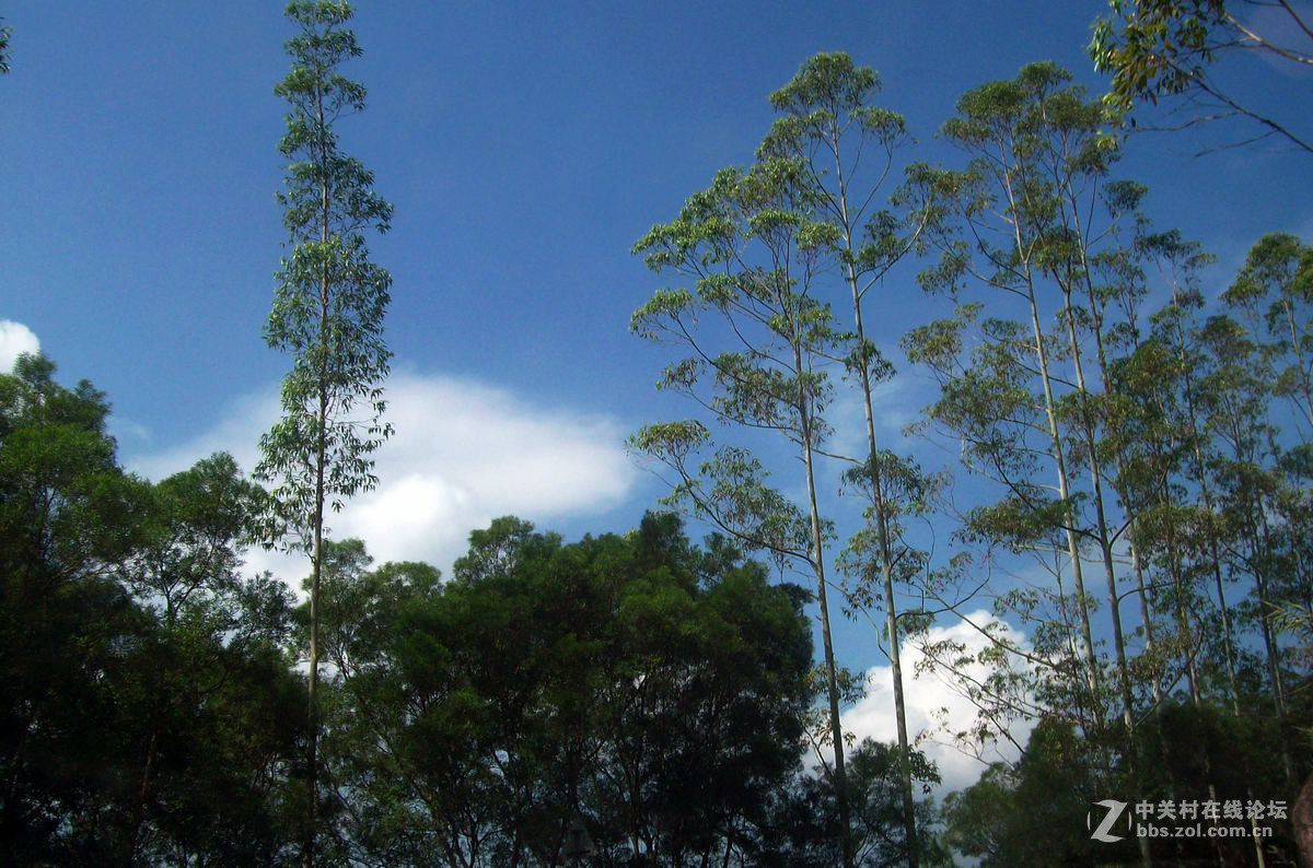 2016国庆（12）垌中