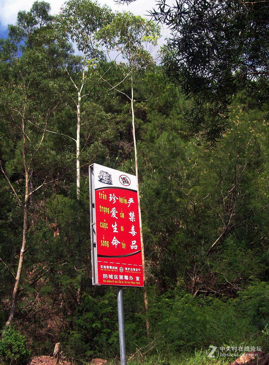 2016国庆（12）垌中