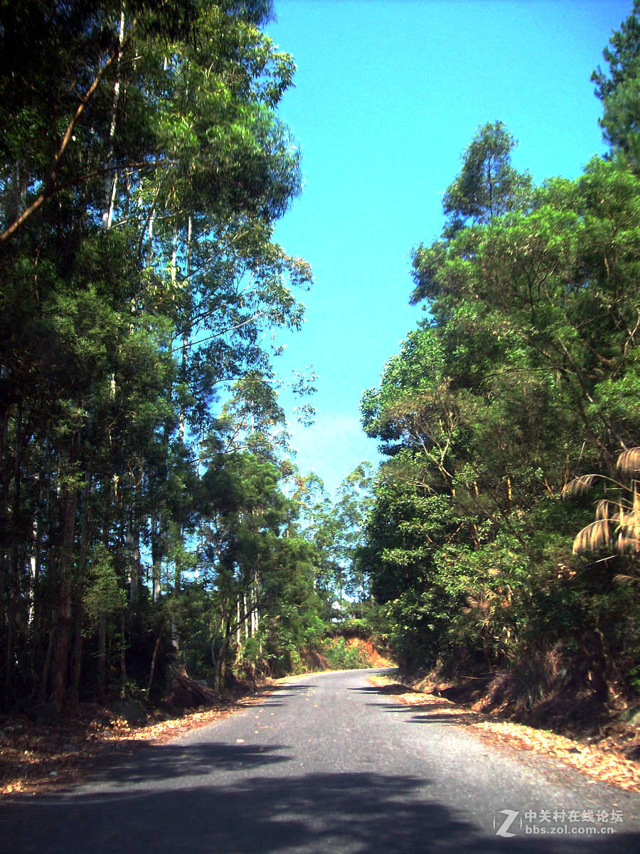 2016国庆（12）垌中