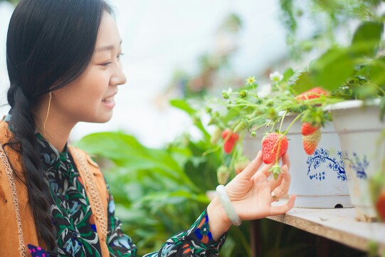 角落里，幸福的芬芳在飘扬…