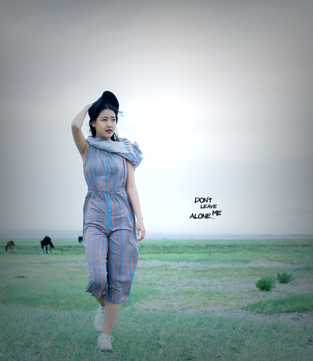 春天的花开秋天的风