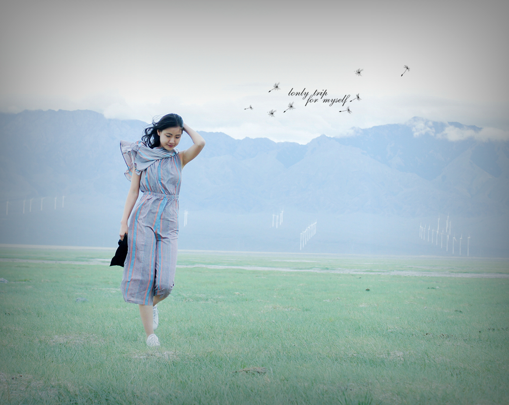 春天的花开秋天的风