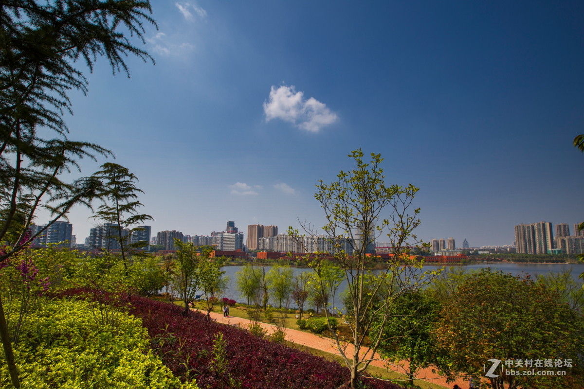 西湖文化公園風景2