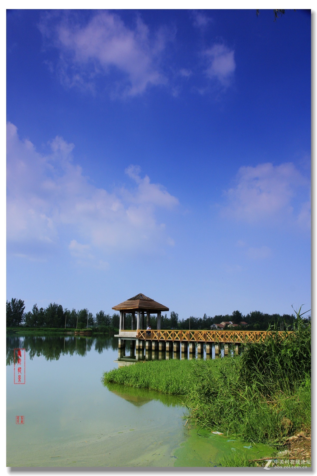 沛县沛公园的景点描写图片