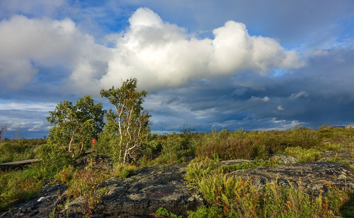 五大连池北饮泉