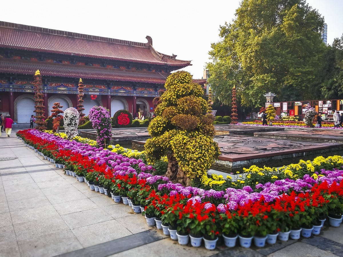 洛阳王城公园 ~ 掠影