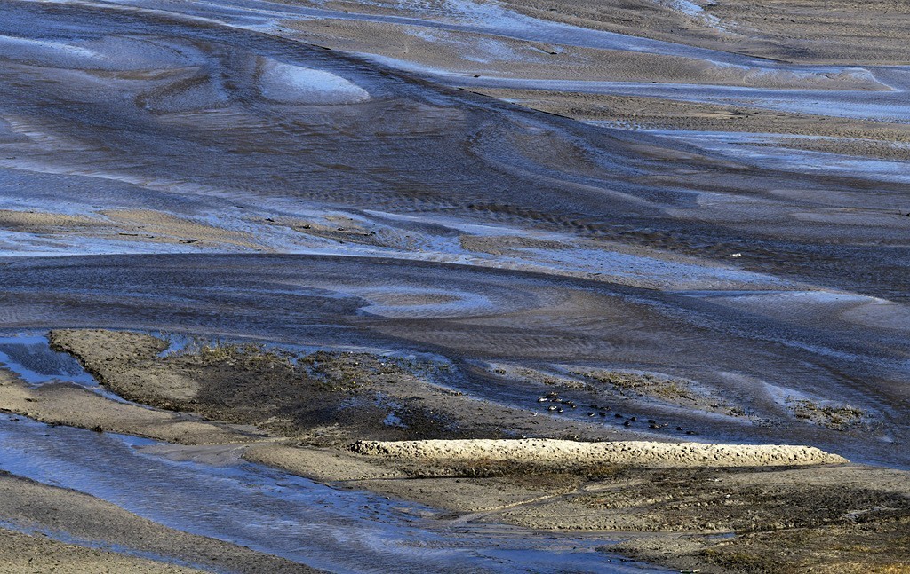 游离了很久发几片问候好友