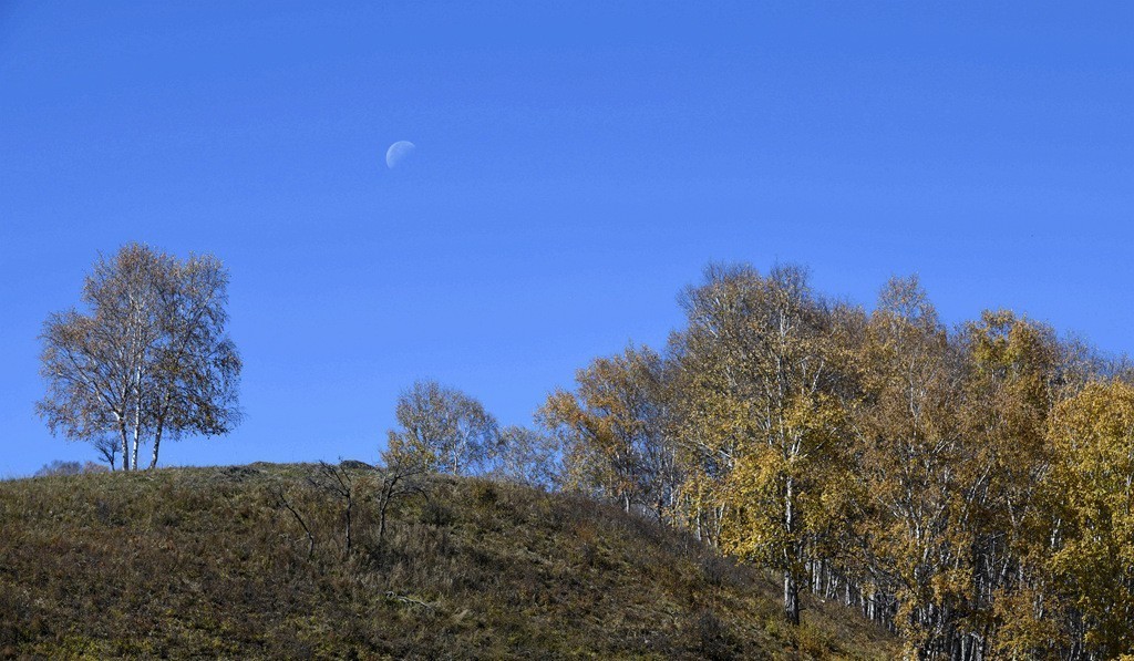 游离了很久发几片问候好友